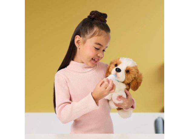 پچز هاپو کوچولوی Little Live Pets, تنوع: Patches-26548, image 4