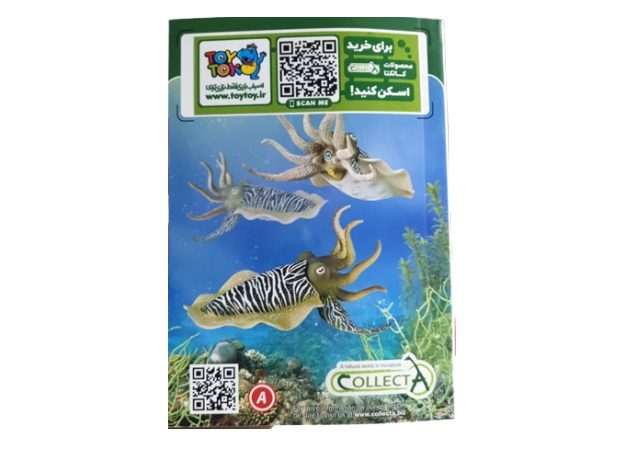 کاتالوگ 2024 Collecta, image 4