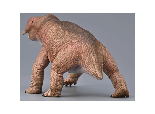 پلاسریاس, image 3