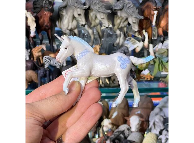 کره اسب تک‌شاخ آبی, image 5