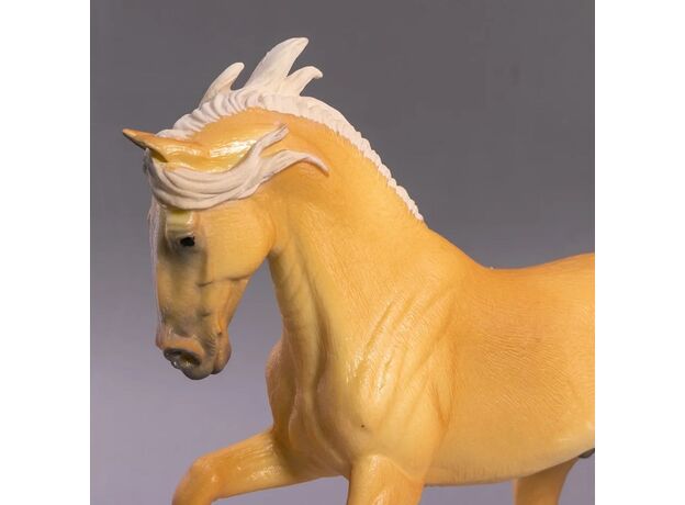 اسب نر اصیل اسپانیایی اندلسی ابرش, image 5