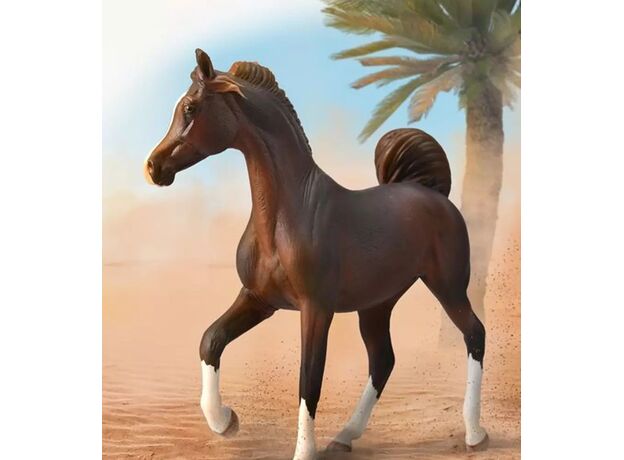 اسب ماده عربی کُرَنگ, image 6