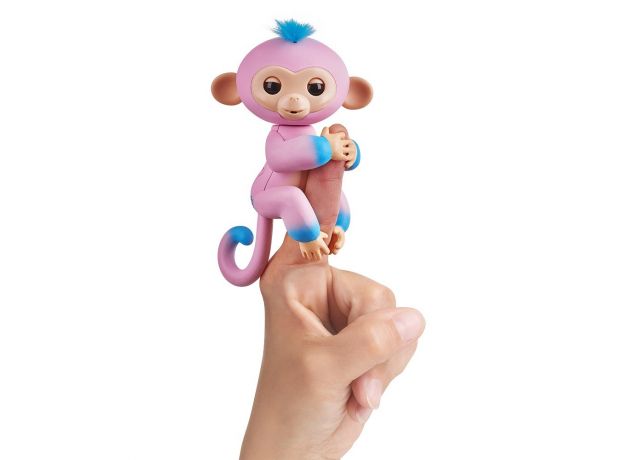 ربات میمون انگشتی آمبره فینگرلینگز (کندی), image 