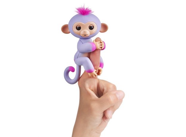 ربات میمون انگشتی آمبره فینگرلینگز  (سیدنی), image 