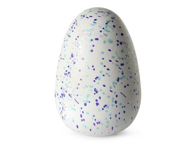 هچیمال فبیولا فارست پافاتو (یکی از دو رنگ بصورت اتفاقی داخل تخم است), image 8