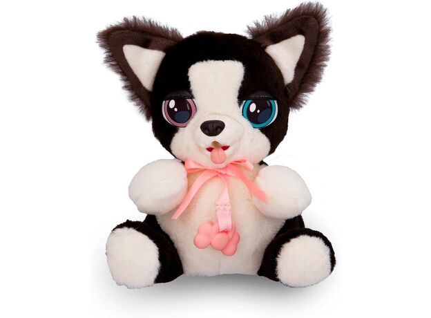 بردر کالی هاپو کوچولوی Mini Baby Paws, تنوع: 922396- Border Collie, image 4