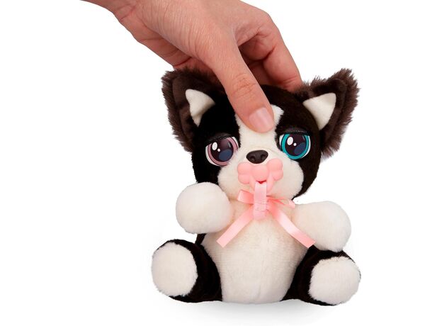 بردر کالی هاپو کوچولوی Mini Baby Paws, تنوع: 922396- Border Collie, image 3