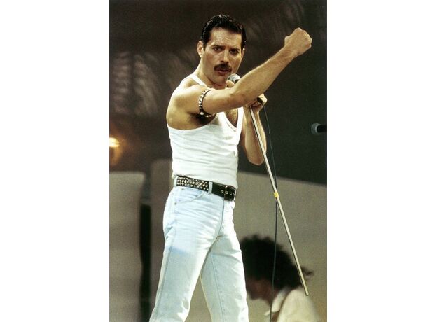 فیگور 9 سانتی فانکو پاپ فردی مرکوری (183), image 4