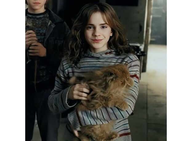 فیگور 9 سانتی فانکو پاپ هرماینی گرنجر (167), image 8