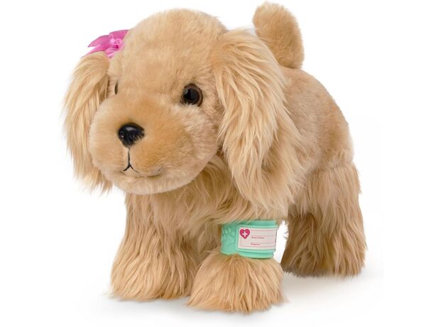 کیف مراقبت از حیوانات پوچی پاپس Pucci Pups به همراه هاپو پولیشی, image 4