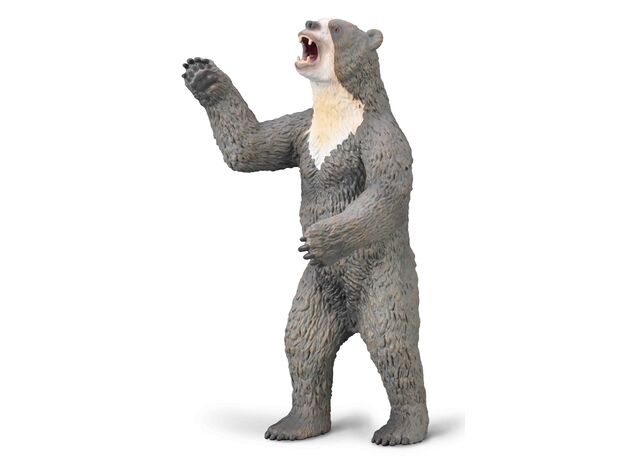 خرس غول پیکر کوتاه چهره, image  خرس غول پیکر کوتاه چهره, image