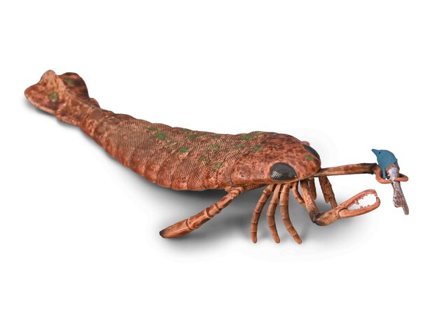 جیکلوپتروس به همراه طعمه - مقیاس 1:20, image  جیکلوپتروس به همراه طعمه - مقیاس 1:20, image