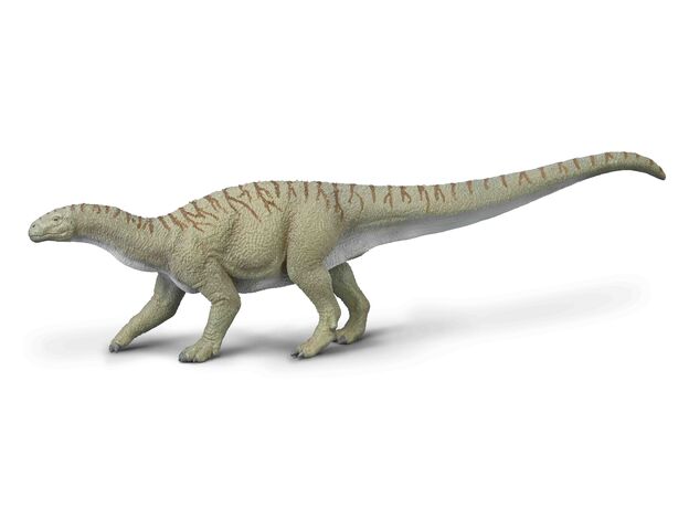 اینجبتیا پریما - مقیاس 1:40, image  اینجبتیا پریما - مقیاس 1:40, image