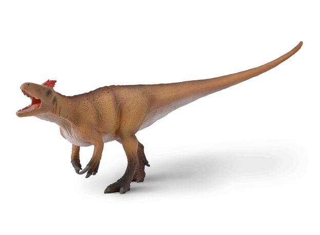 میپ ماکروتوراکس با فک متحرک - مقیاس 1:40, image  میپ ماکروتوراکس با فک متحرک - مقیاس 1:40, image