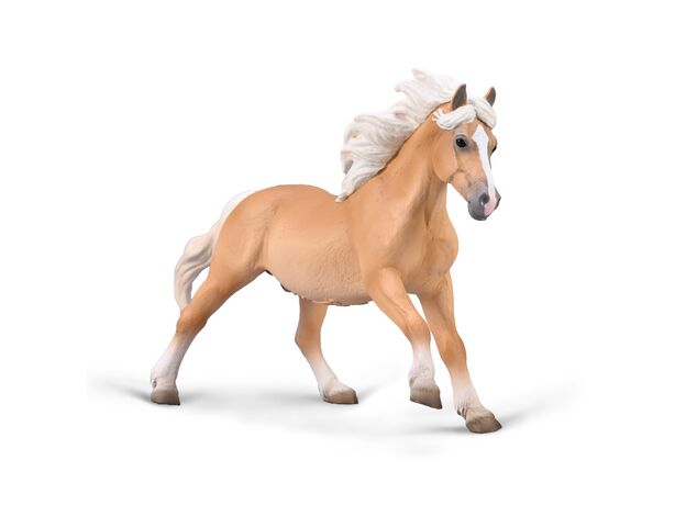 اسب نر هافلینگر - مقیاس 1:20, image  اسب نر هافلینگر - مقیاس 1:20, image