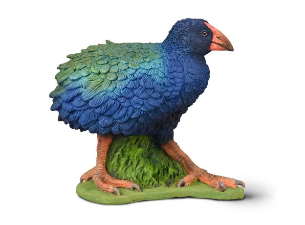 تاکاهه, image  تاکاهه, image