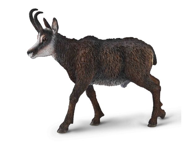 بز کوهی اروپایی, image  بز کوهی اروپایی, image