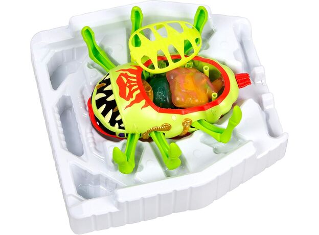 ست تشریح نهایی بیگانگان Treasure X, image 5 ست تشریح نهایی بیگانگان Treasure X, image 5