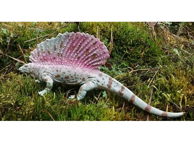 آدافوسور - مقیاس 1:20, image 3