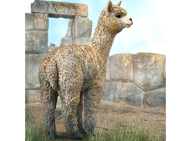 آلپاکا, image 2