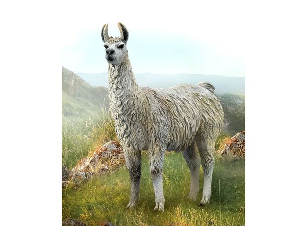 لاما, image 2