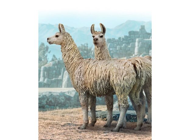 لاما, image 3