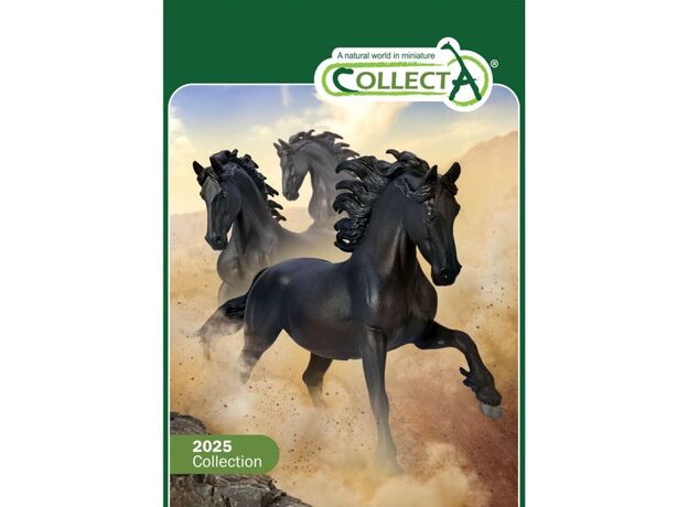 کاتالوگ 2025 Collecta, image 
