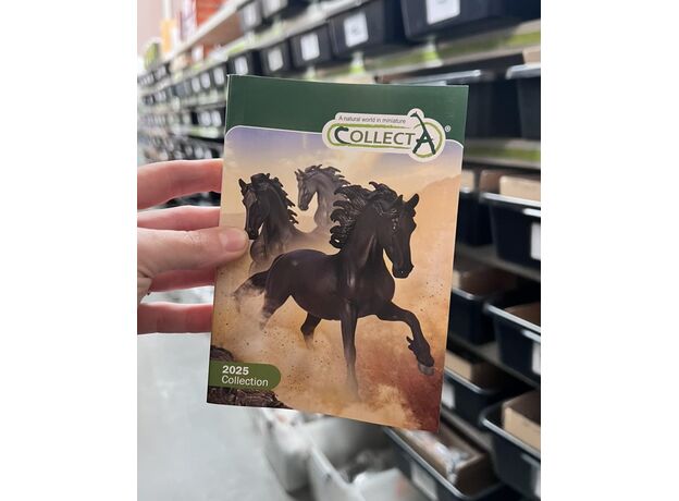 کاتالوگ 2025 Collecta, image 3