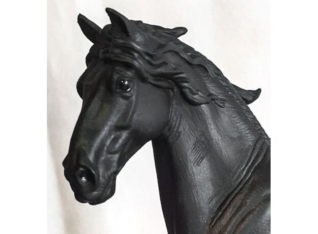 اسب نر فریزین, image 3