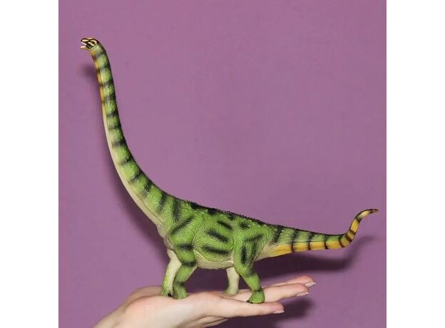 داکسیاتیتان, image 6