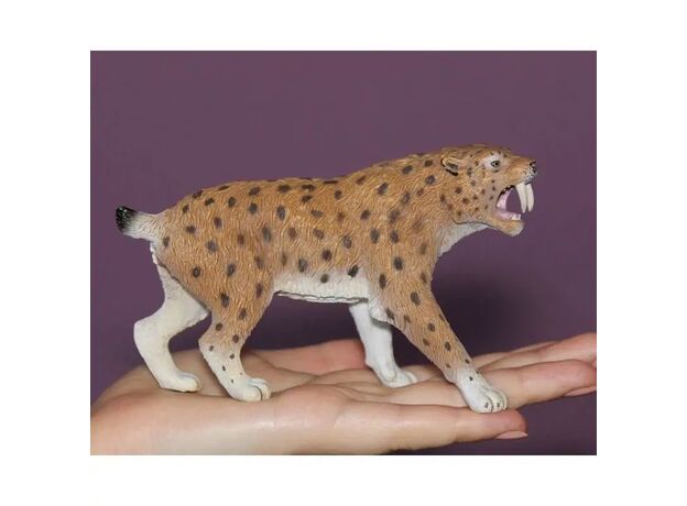 ببر اسمایلودون یا چاقودندان, image 2