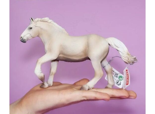 اسب نر بارکش کرم رنگ آمریکایی, image 5