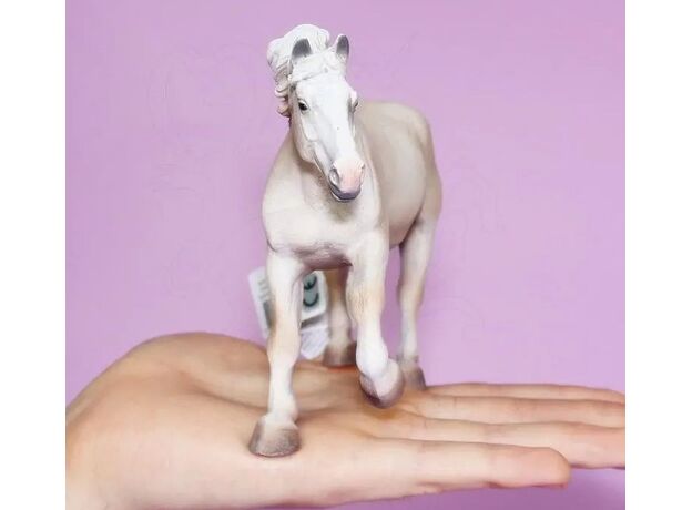 اسب نر بارکش کرم رنگ آمریکایی, image 6