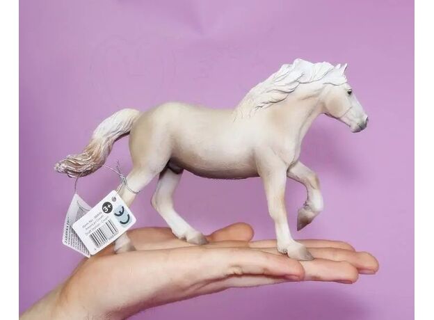 اسب نر بارکش کرم رنگ آمریکایی, image 4