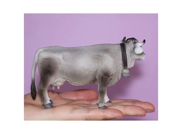 تیرول گری, image 4