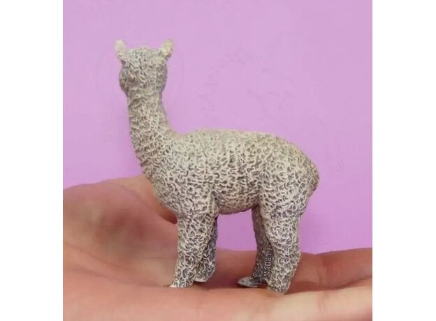 آلپاکا, image 5