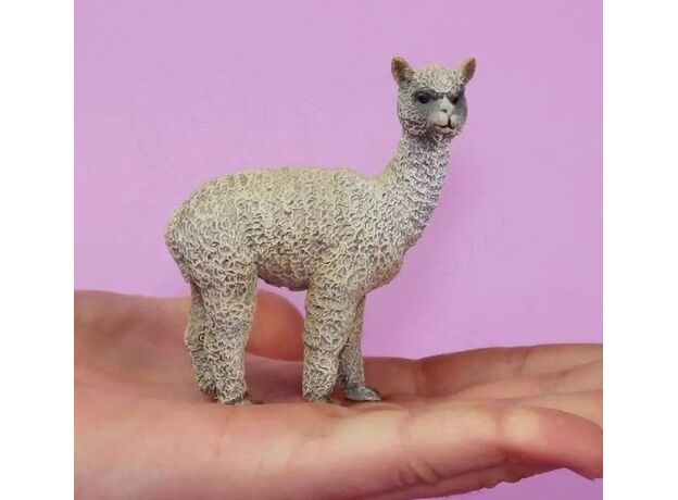 آلپاکا, image 3