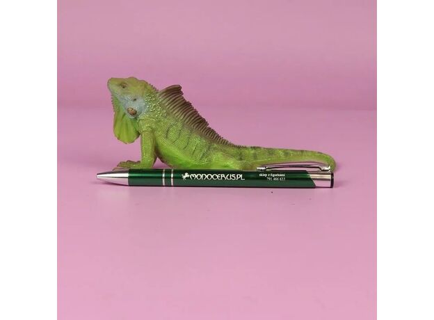 ایگوانا, image 5