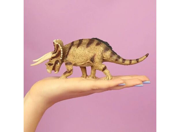 تریسراتوپس, image 4