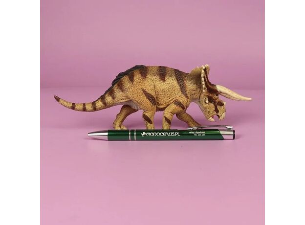 تریسراتوپس, image 5