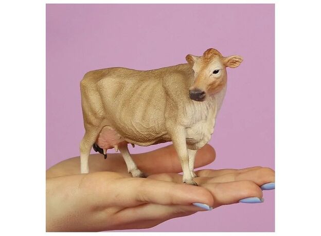 گاو جرسی, image 3