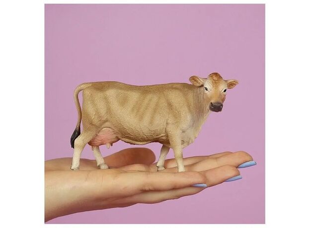 گاو جرسی, image 2