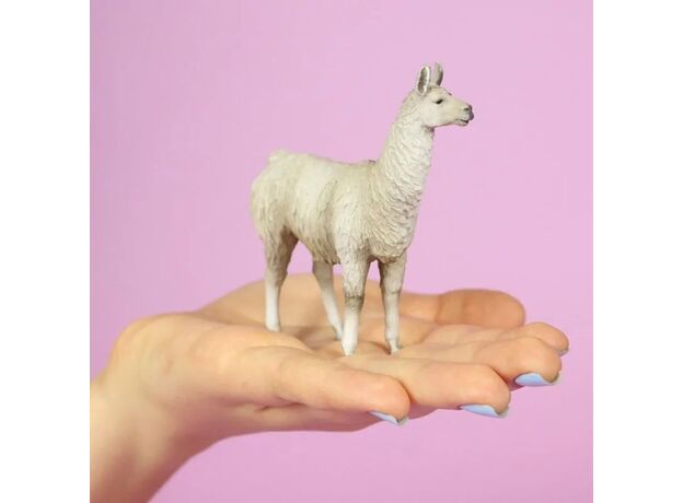 لاما, image 5