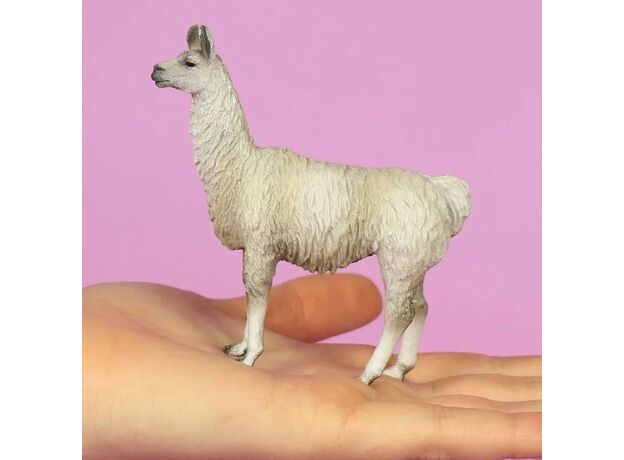 لاما, image 4