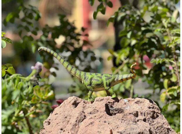 داکسیاتیتان, image 2