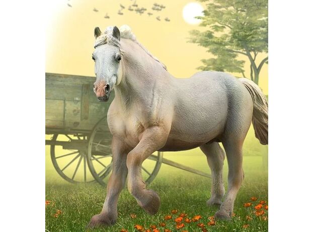 اسب نر بارکش کرم رنگ آمریکایی, image 2