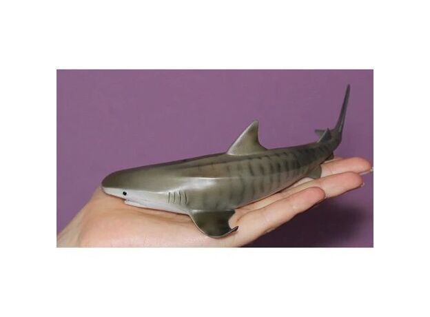 کوسه ببری, image 6