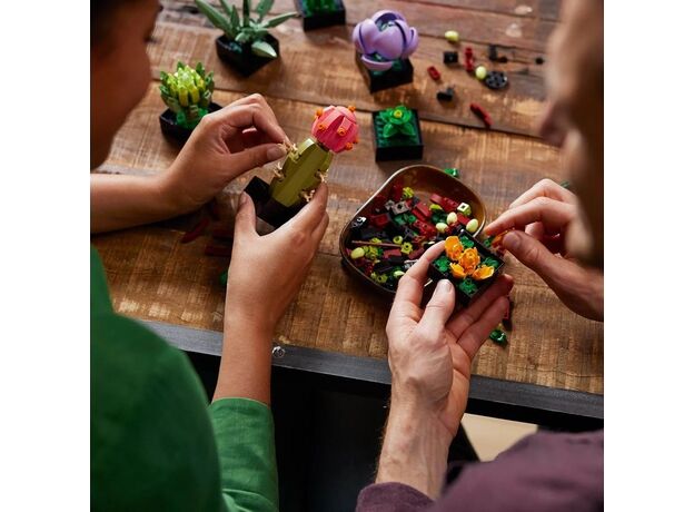 لگو بوتانیکالز مدل گیاه های ساکولنت (10309), image 4