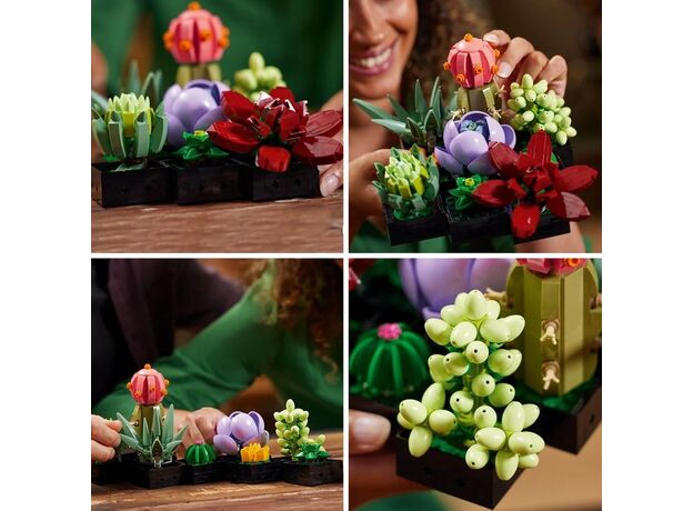 لگو بوتانیکالز مدل گیاه های ساکولنت (10309), image 5