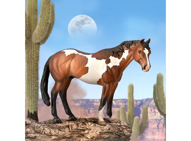 اسب نر آپالوسا قهوه ای, image 2